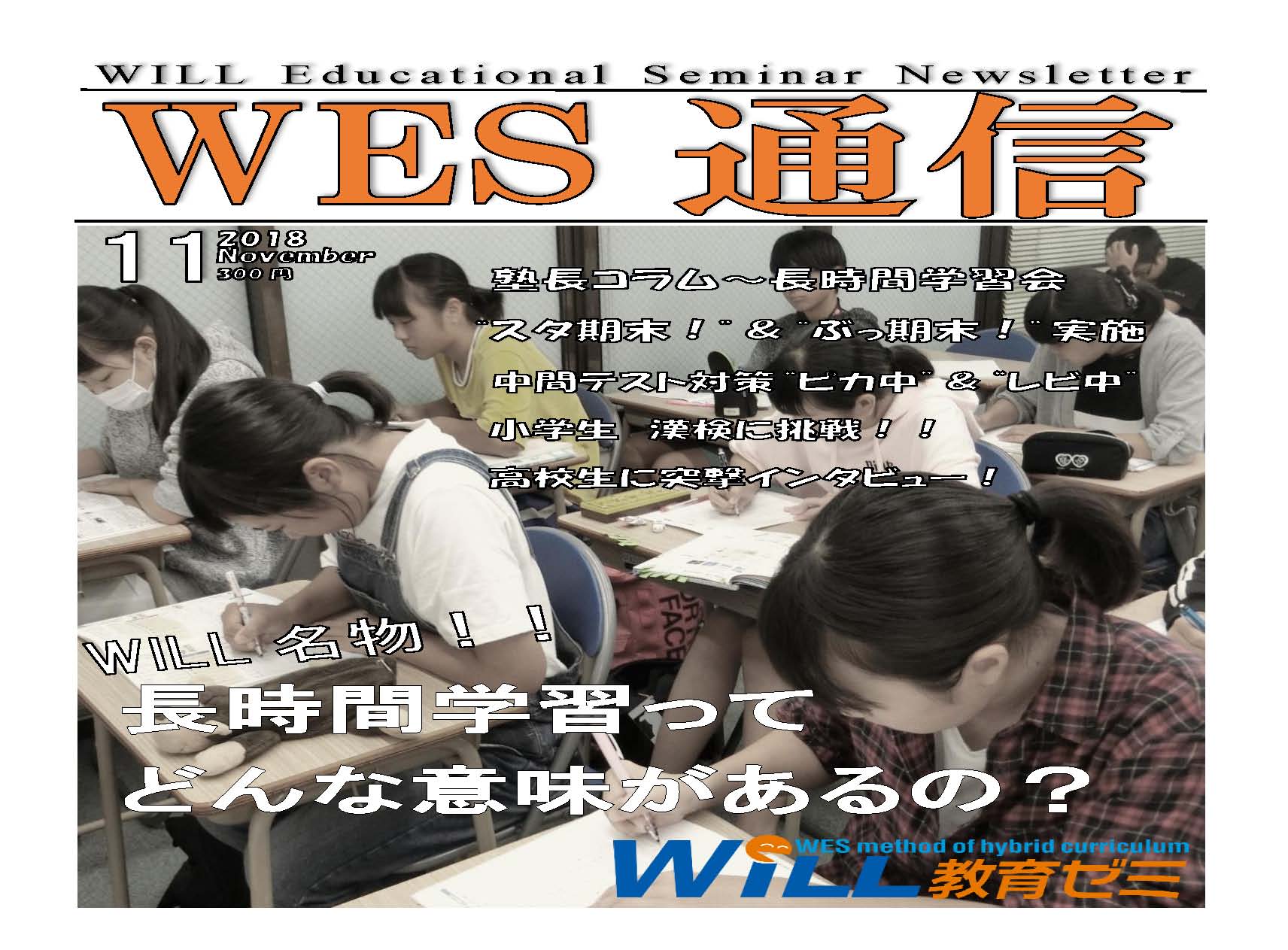 WES�̿�2018ǯ11���